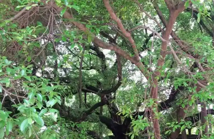 骂人滚最优雅的说法，一起来看看高雅地“回骂”